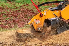 Best Stump Grinding and Removal  in Hico, TX